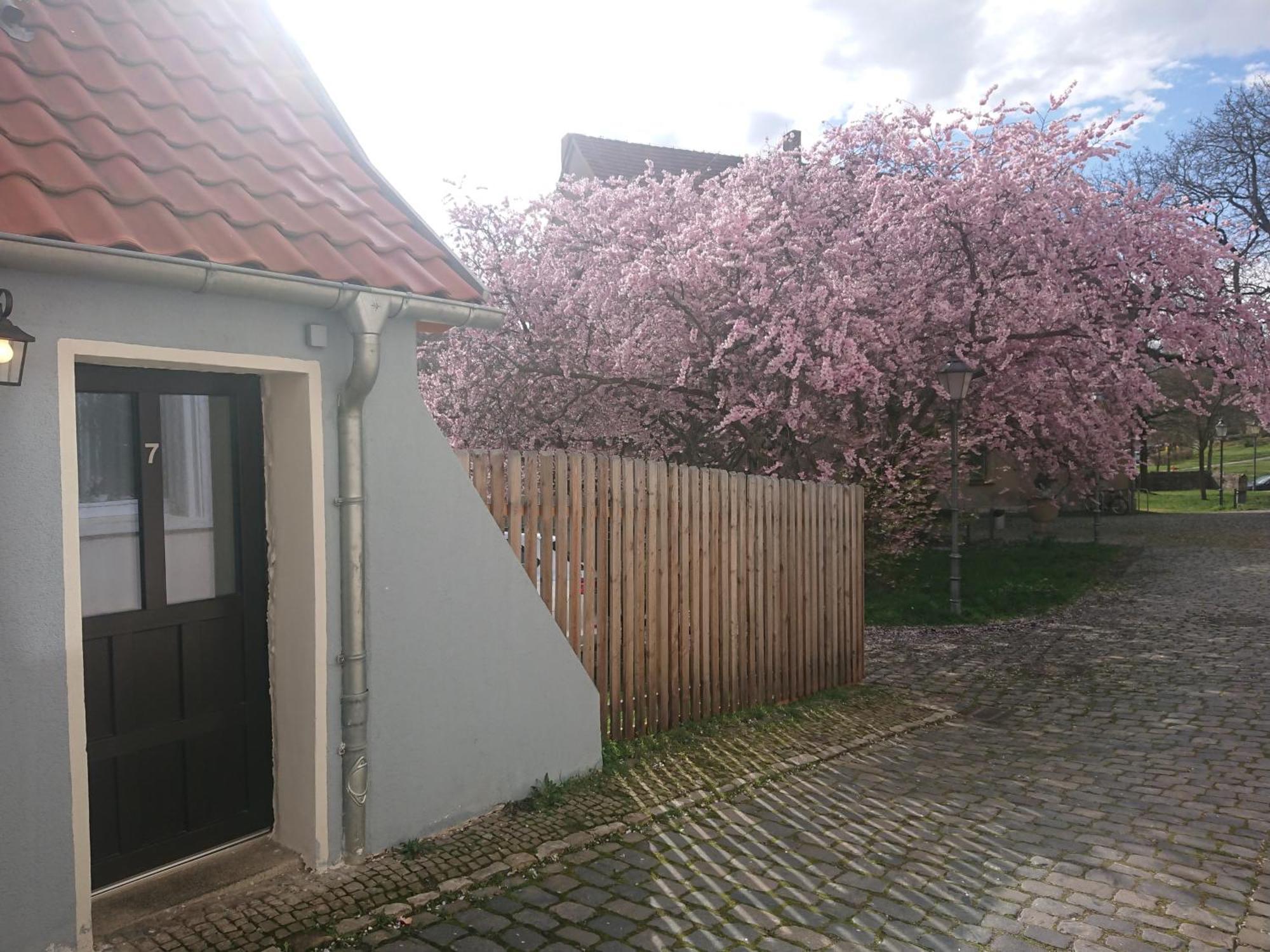 Ferienhaus Ашерслебен Екстериор снимка